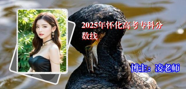2025年怀化高考专科分数线