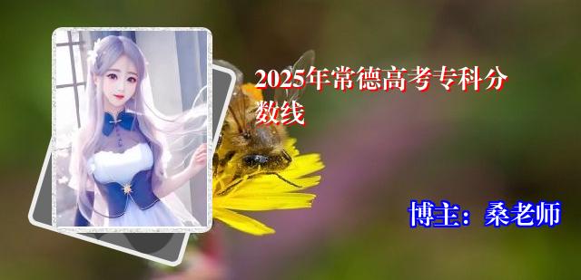 2025年常德高考专科分数线