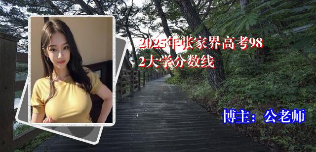 2025年张家界高考982大学分数线