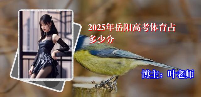 2025年岳阳高考体育占多少分