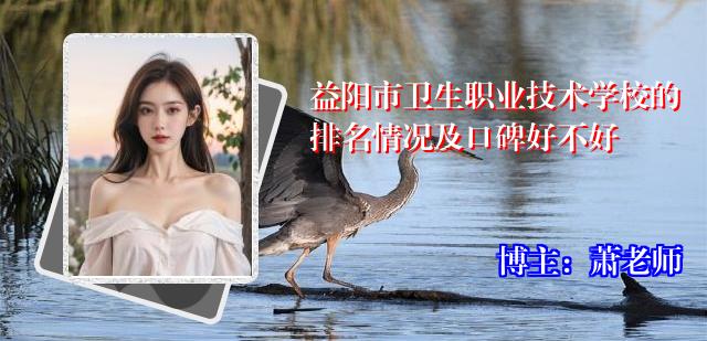 益阳市卫生职业技术学校的排名情况及口碑好不好