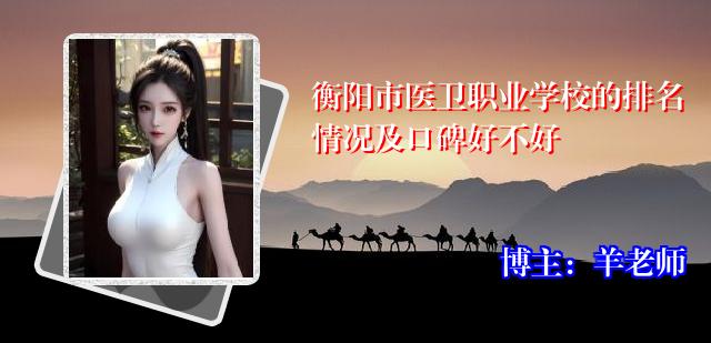 衡阳市医卫职业学校的排名情况及口碑好不好