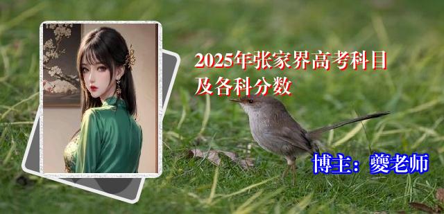 2025年张家界高考科目及各科分数