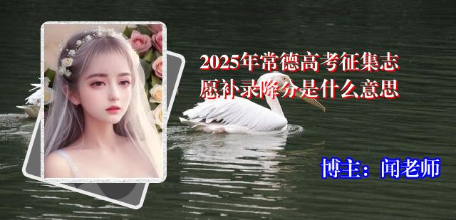 2025年常德高考征集志愿补录降分是什么意思