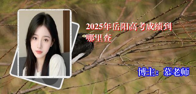 2025年岳阳高考成绩到哪里查