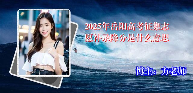 2025年岳阳高考征集志愿补录降分是什么意思