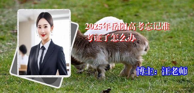 2025年岳阳高考忘记准考证了怎么办