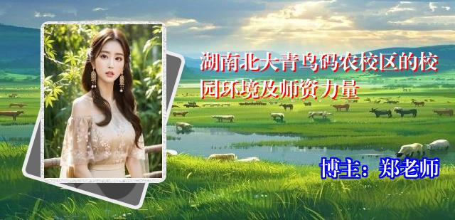 湖南北大青鸟码农校区的校园环境及师资力量