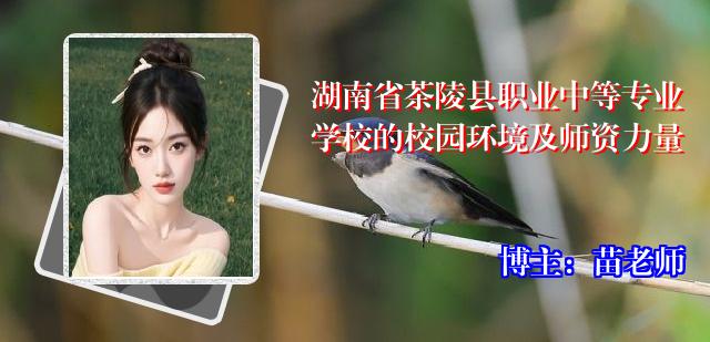 湖南省茶陵县职业中等专业学校的校园环境及师资力量