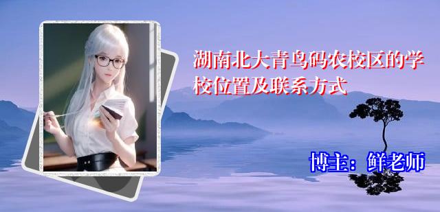 湖南北大青鸟码农校区的学校位置及联系方式