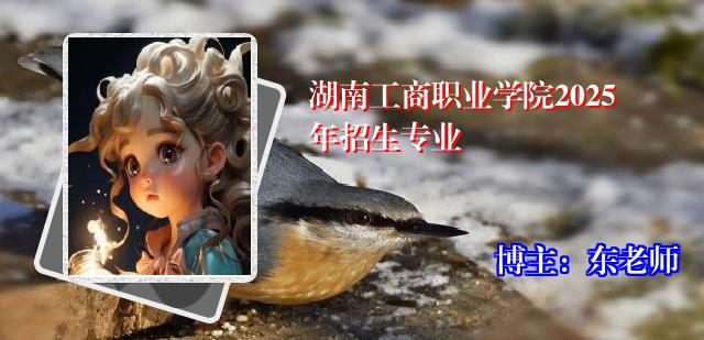 湖南工商职业学院2025年招生专业