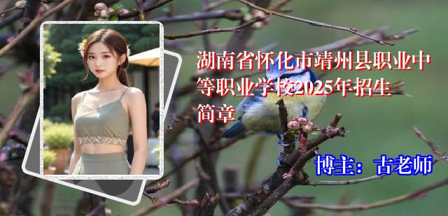 湖南省怀化市靖州县职业中等职业学校2025年招生简章