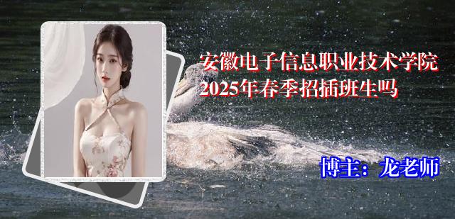 安徽电子信息职业技术学院2025年春季招插班生吗