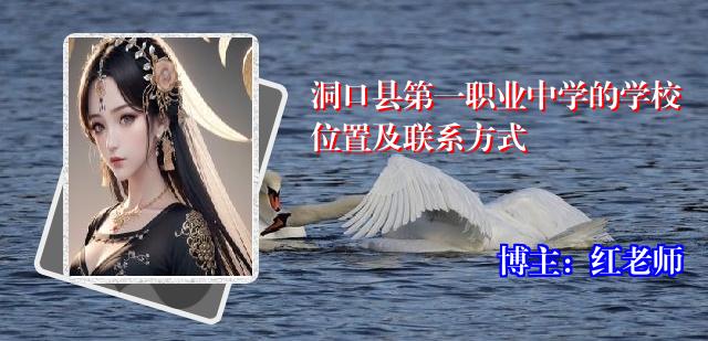 洞口县第一职业中学的学校位置及联系方式