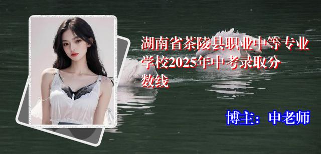 湖南省茶陵县职业中等专业学校2025年中考录取分数线