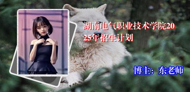 湖南电气职业技术学院2025年招生计划