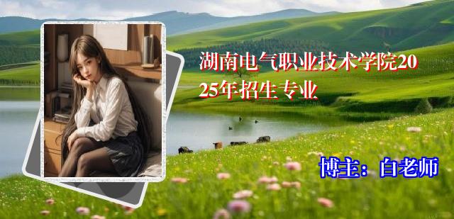 湖南电气职业技术学院2025年招生专业