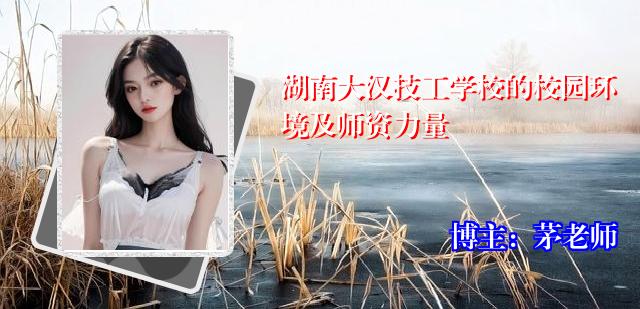 湖南大汉技工学校的校园环境及师资力量