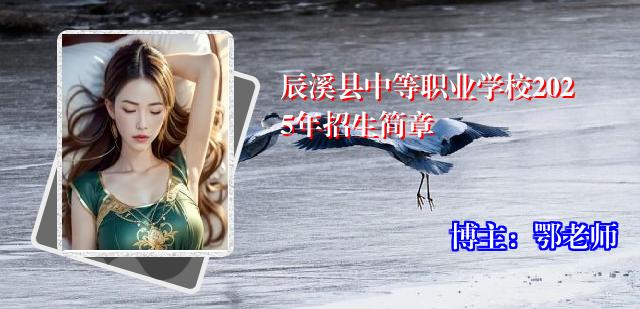 辰溪县中等职业学校2025年招生简章