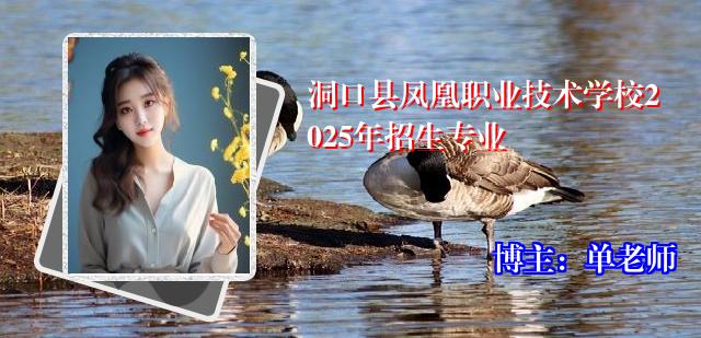 洞口县凤凰职业技术学校2025年招生专业