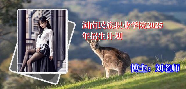 湖南民族职业学院2025年招生计划