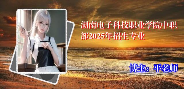 湖南电子科技职业学院中职部2025年招生专业