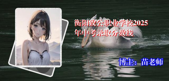 衡阳致公职业学校2025年中考录取分数线