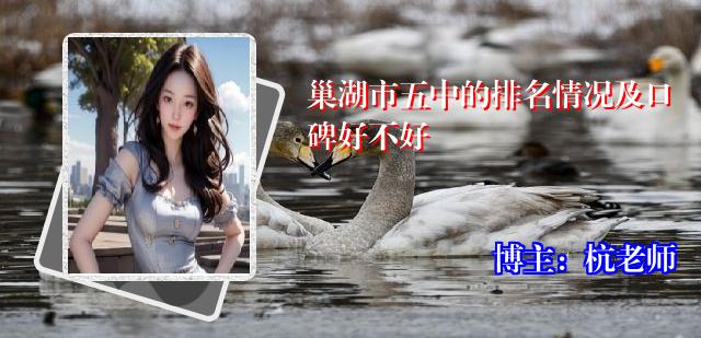 巢湖市五中的排名情况及口碑好不好