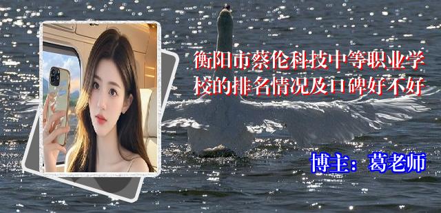 衡阳市蔡伦科技中等职业学校的排名情况及口碑好不好