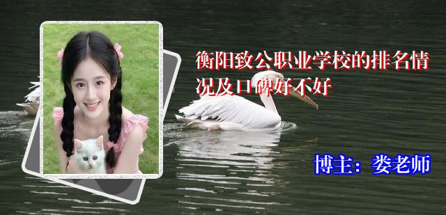 衡阳致公职业学校的排名情况及口碑好不好