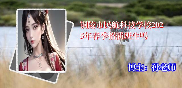铜陵市民航科技学校2025年春季招插班生吗