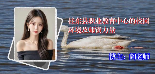 桂东县职业教育中心的校园环境及师资力量