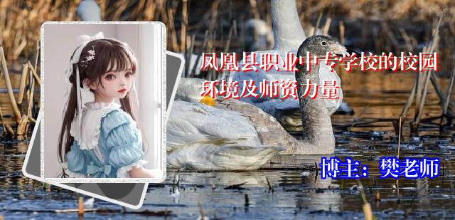 凤凰县职业中专学校的校园环境及师资力量