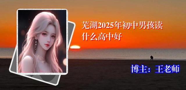 芜湖2025年初中男孩读什么高中好