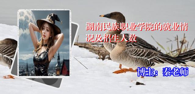 湖南民族职业学院的就业情况及招生人数