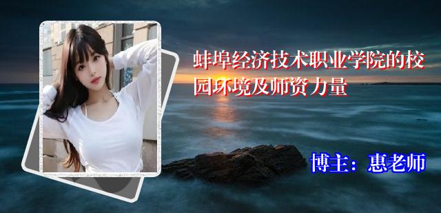 蚌埠经济技术职业学院的校园环境及师资力量