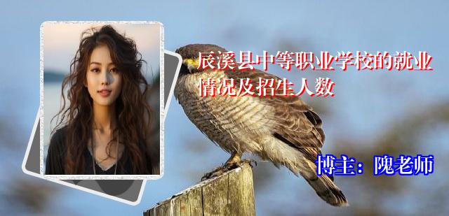辰溪县中等职业学校的就业情况及招生人数