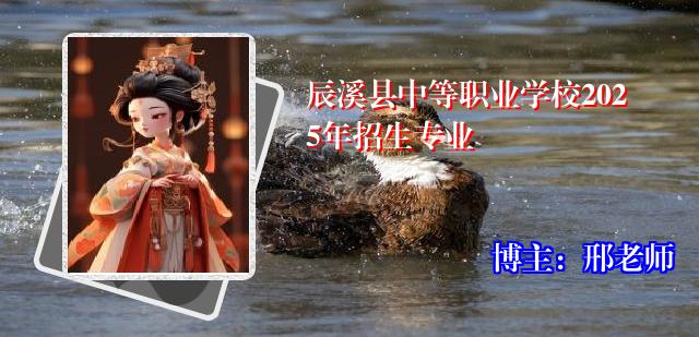 辰溪县中等职业学校2025年招生专业