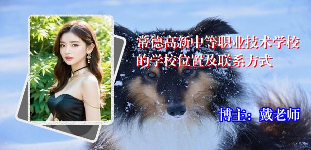 常德高新中等职业技术学校的学校位置及联系方式