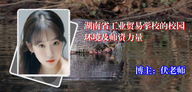 湖南省工业贸易学校的校园环境及师资力量