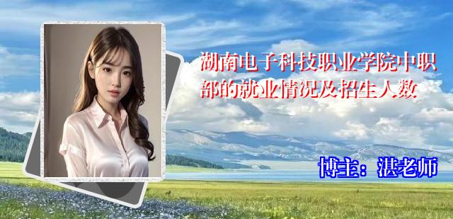 湖南电子科技职业学院中职部的就业情况及招生人数