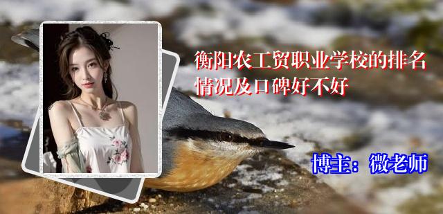 衡阳农工贸职业学校的排名情况及口碑好不好