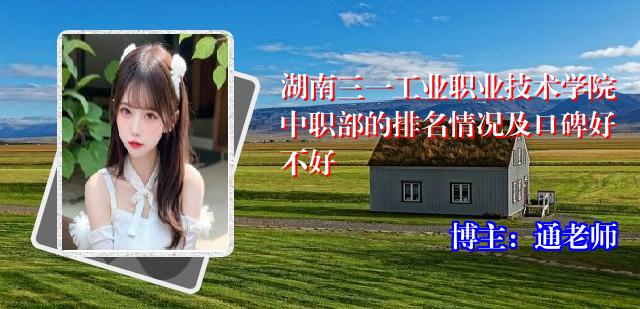 湖南三一工业职业技术学院中职部的排名情况及口碑好不好