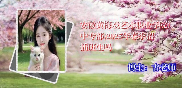安徽黄梅戏艺术职业学院(中专部)2025年春季招插班生吗