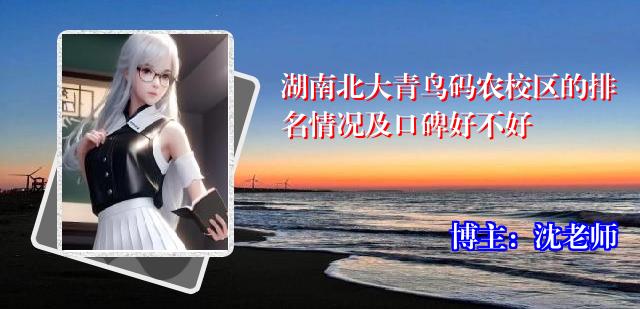 湖南北大青鸟码农校区的排名情况及口碑好不好