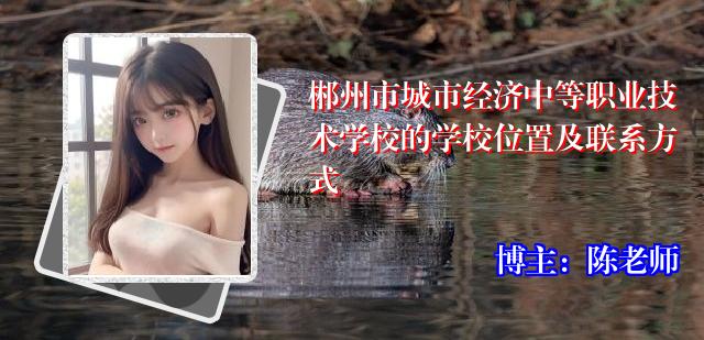 郴州市城市经济中等职业技术学校的学校位置及联系方式