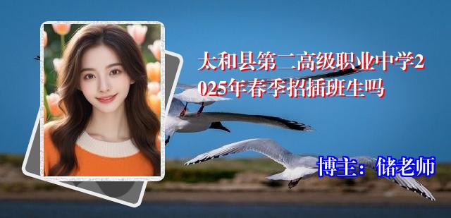 太和县第二高级职业中学2025年春季招插班生吗