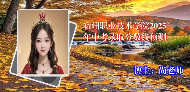 宿州职业技术学院2025年中考录取分数线预测