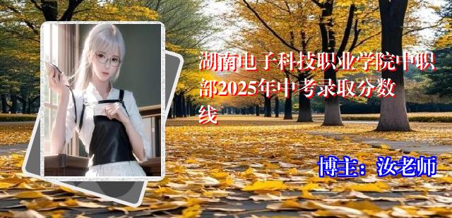湖南电子科技职业学院中职部2025年中考录取分数线