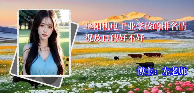 阜阳机电工业学校的排名情况及口碑好不好